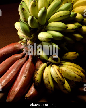 Bunches of bananas Stock Photo