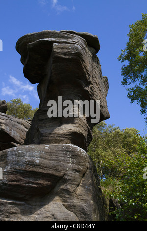 A weird and wonderful geological formation at Brimham Rocks in Nidderdale, Yorkshire owned by the National Trust