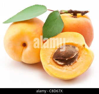 Apricots with leaves on a white background. Stock Photo