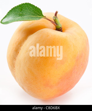 Apricot with leaf on a white background. Stock Photo