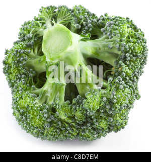Broccoli on a white background. Stock Photo