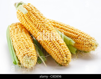 Corn on a white background Stock Photo