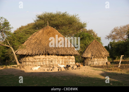 Elk200-5047 Ethiopia, Lake Langano, Oromo village Stock Photo