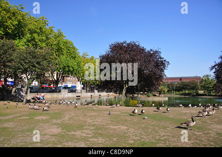 Pond on Feltham Green, High Street, Feltham, London Borough of Hounslow, Greater London, England, United Kingdom Stock Photo