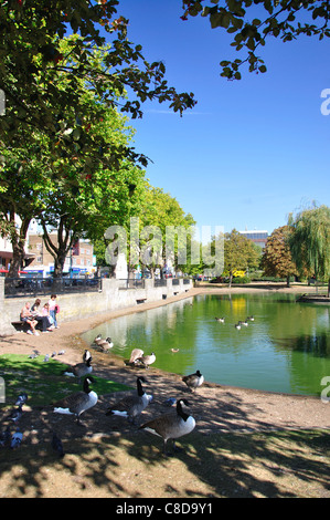 Pond on Feltham Green, High Street, Feltham, London Borough of Hounslow, Greater London, England, United Kingdom Stock Photo