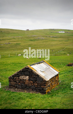 View of a stone shed used for lambs and sheep to shelter in. Located at Eshaness on the Shetland Islands, Scotland. Stock Photo