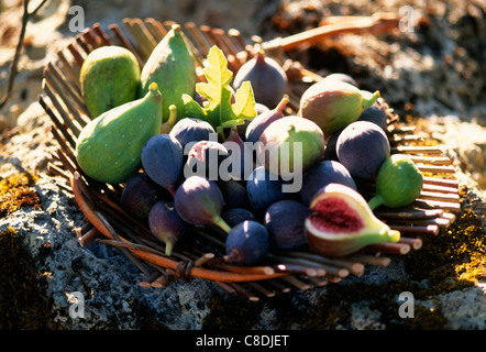 Basket of figs Stock Photo