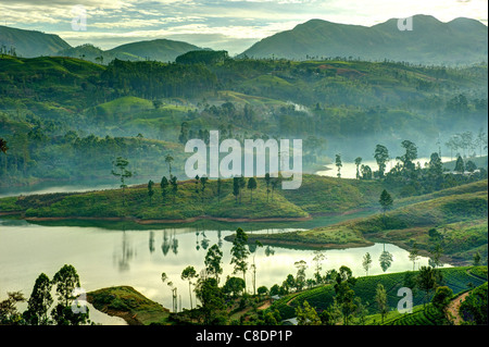 A landscape with tea plantations in Maskeliya, Sri Lanka Stock Photo