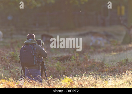 Photographer Male early Morning Autumn Stock Photo