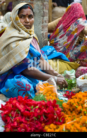 Woman sells flowers and herbs for temple offerings by The Golden Temple in Festival of Shivaratri in holy city Varanasi India Stock Photo