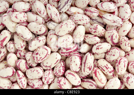 Beans texture background Stock Photo