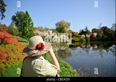 Lady photographing the landscape, United Kingdom. Stock Photo