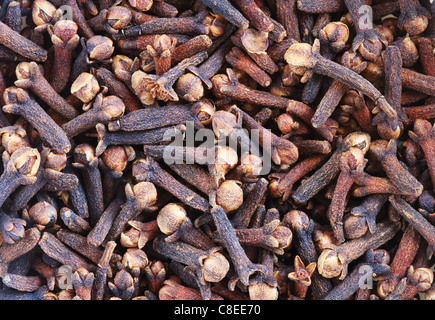macro image of cloves dried flower buds used as a spice Stock Photo