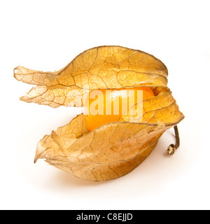 Physalis fruit isolated on a white studio background. Stock Photo