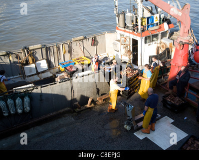Fishing harbour unloading fresh catch Bridlington, Yorkshire, England Stock Photo