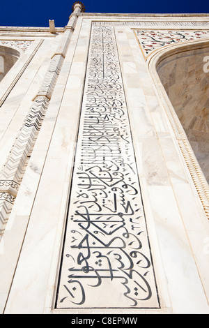 Mahal Calligraphy Agra: Taj Mahal Mausoleum: Calligraphy On Large Pishtaq Stock Photo - Alamy