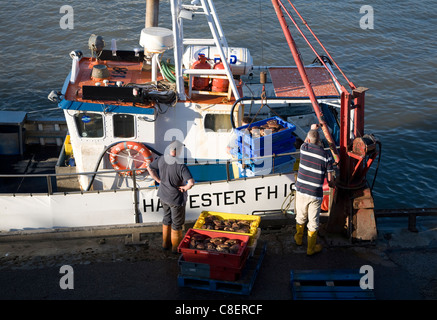Fishing harbour unloading fresh catch Bridlington, Yorkshire, England Stock Photo