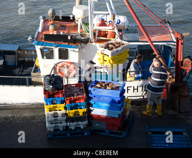 Fishing harbour unloading fresh catch Bridlington, Yorkshire, England Stock Photo