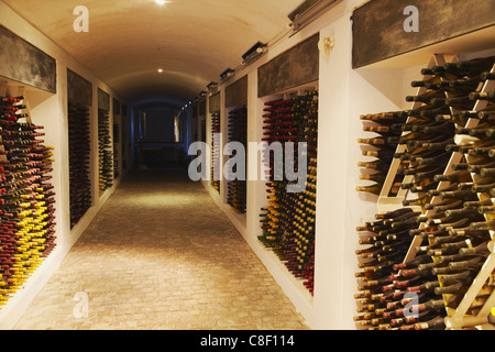 Cellar of vintage wine, Boschendal Wine Estate, Franschhoek, Western Cape, South Africa Stock Photo