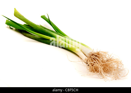 Welsh onion on a white background Stock Photo