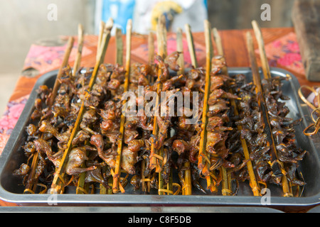 Barbecued baby chicks for sale at a roadside market, Phou Khoun, Laos Stock Photo