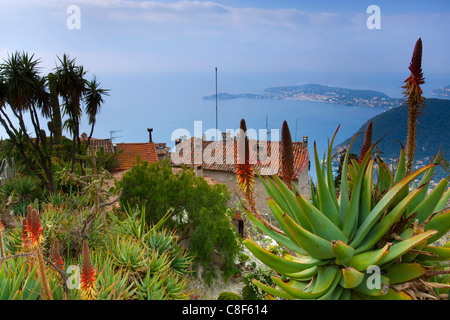 Eze, France, Europe, Côte d'Azur, Provence, Alpes-Maritimes, village, houses, homes, park, garden, plants, agaves, sea, Mediterr Stock Photo