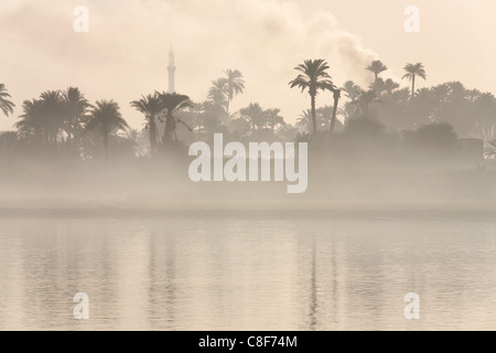 A section of Nile river bank with heavy mist creating muted colour layers, water trees, palms, mosque minaret, and  smoke, Egypt Stock Photo