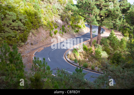 Mountain road pass to Parque Nacional de la Caldera de Taburiente, Isla de la Palma, Canary Islands, Spain Stock Photo