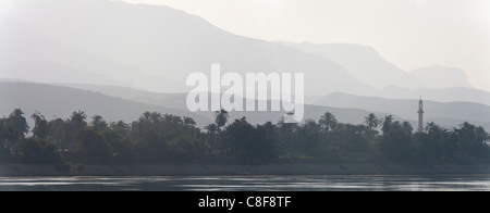 A section of Nile river bank with heavy mist creating muted colour layers, water trees, palms and mosque minaret, Egypt Africa Stock Photo