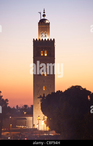 Morocco, North Africa, Africa, Marrakech, Medina, business, trade, shop, Djemaa el Fna, place, Koutobia, tower, rook, in the eve Stock Photo