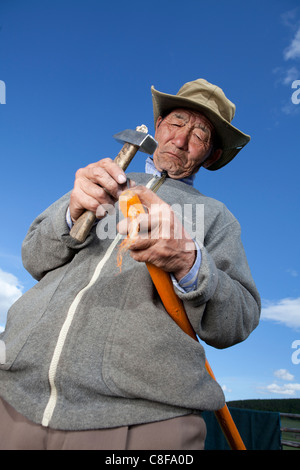 Mongolian old man trying to fix ger rafter, Tsagaan Nuur, Khovsgol, Mongolia Stock Photo