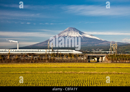 Japan, November, Asia, Fuji, city, mountain Fuji, high-speed train, Shinkansen, scenery, agriculture, rice field, growing of ric Stock Photo