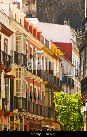 Typical Andalusian street and coloured houses, with cathedral in the background, Seville, Andalusia, Spain Stock Photo