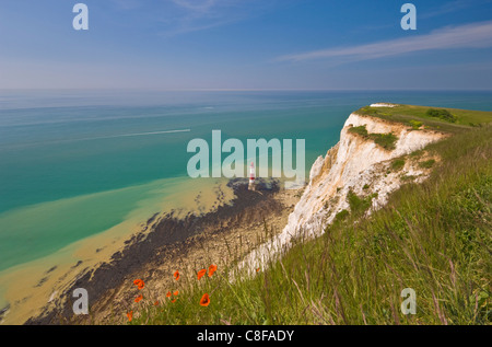 Beachy Head lighthouse, white chalk cliffs, poppies and English Channel, East Sussex, England, United Kingdom Stock Photo