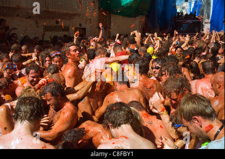 World's largest food fight, La Tomatina, tomato throwing festival, Bunol, Valencia province, Spain Stock Photo