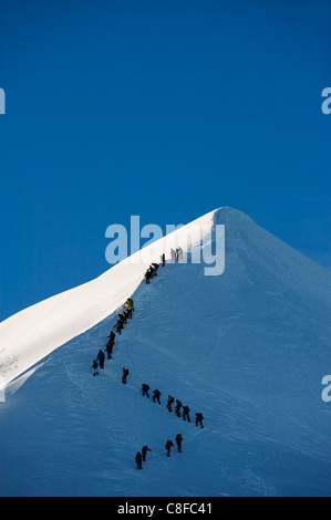 Long line of climbers on summit ridge of Mont Blanc, 4810m, Chamonix, French Alps, France Stock Photo