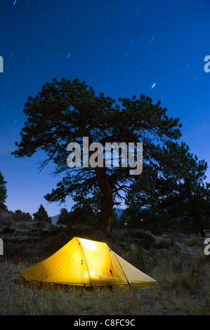 Tent illuminated under the night sky, Rocky Mountain National Park, Colorado, United States of America Stock Photo