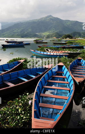 Phewa Tal (Phewa Lake, Pokhara, Gandaki, Western Region (Pashchimanchal, Nepal Stock Photo