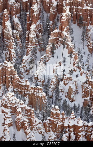 Hoodoos with fresh snow, Bryce Canyon National Park, Utah, United States of America Stock Photo