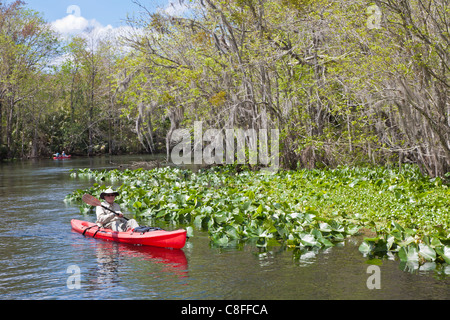 Senior man in red kayak on Silver River near Silver Springs State Park in Ocala Florida Stock Photo