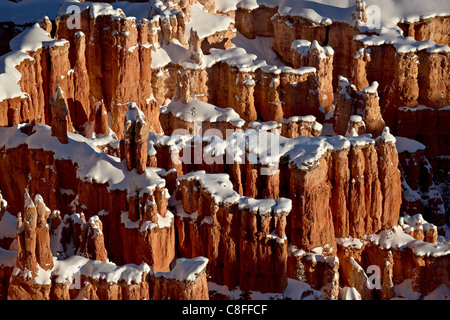 Hoodoos with fresh snow, Bryce Canyon National Park, Utah, United States of America Stock Photo