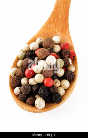 pepper in wooden spoon Stock Photo