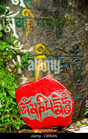 Buddhist prayer stone with mantra wet after rain Stock Photo