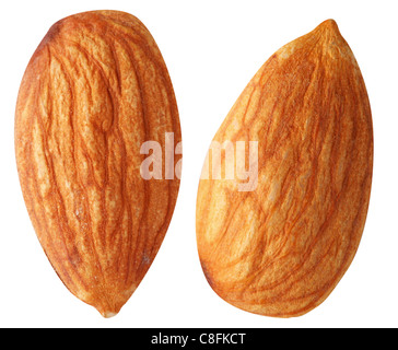 Two almonds isolated on a white background. File contains a path to cut. Stock Photo