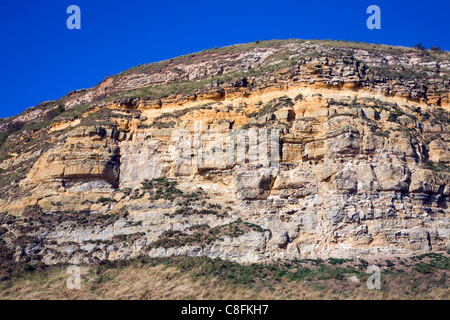 Limestone and sandstone cliffs of the headland at Scarborough, Yorkshire, England Stock Photo