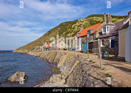 The former fishing village of Crovie in Aberdeenshire Scotland at Gamrie Bay with houses along the raised shore. Stock Photo