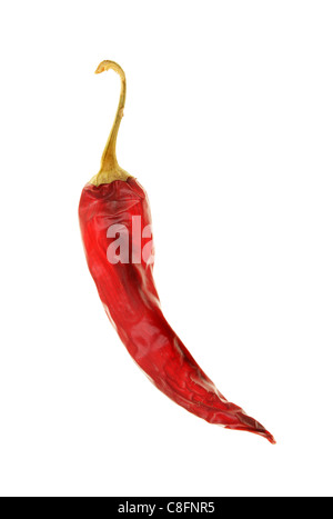 Dried red chilli pepper isolated against white Stock Photo