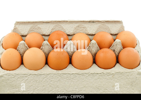 One dozen of brown organic eggs in a cardboard carton close-up.Twelve brown shelled cage free ovals are in a carton isolated on a white background. Stock Photo