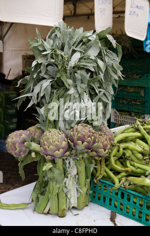 Group of Artichokes displayed in stall at street market show Italy Italian Mediterranean Stock Photo