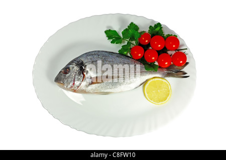 Gilthead fish on plate isolated on white Stock Photo